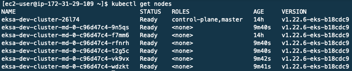 EKS-A-upgrade-get-nodes