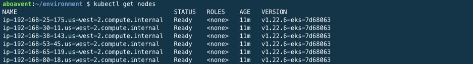 EKS-kubectl-getnodes