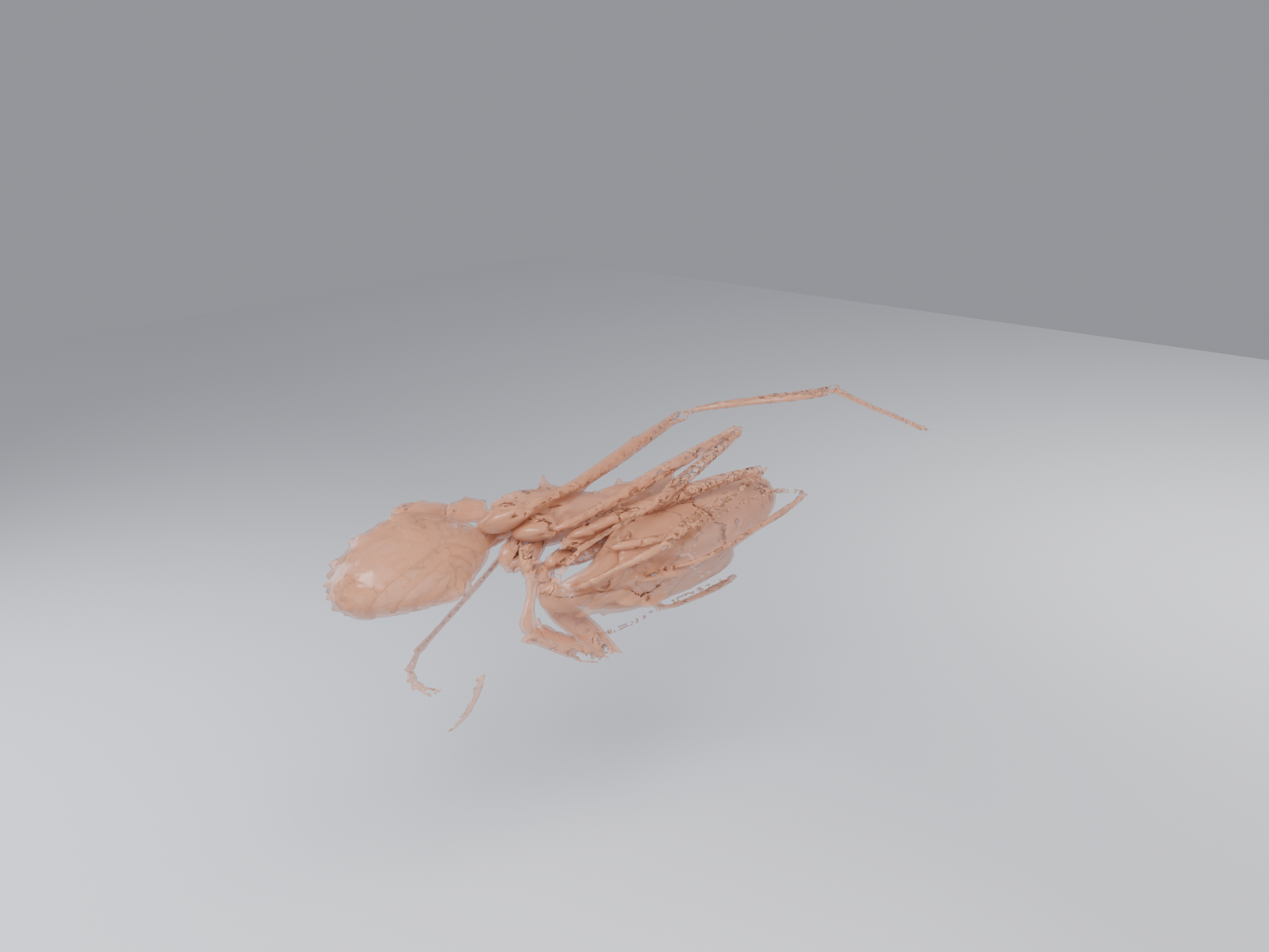 Alpha 0.45