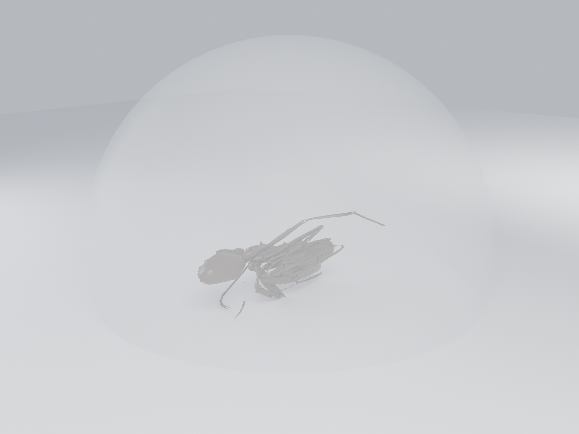 Alpha 0.15 · no Transmission