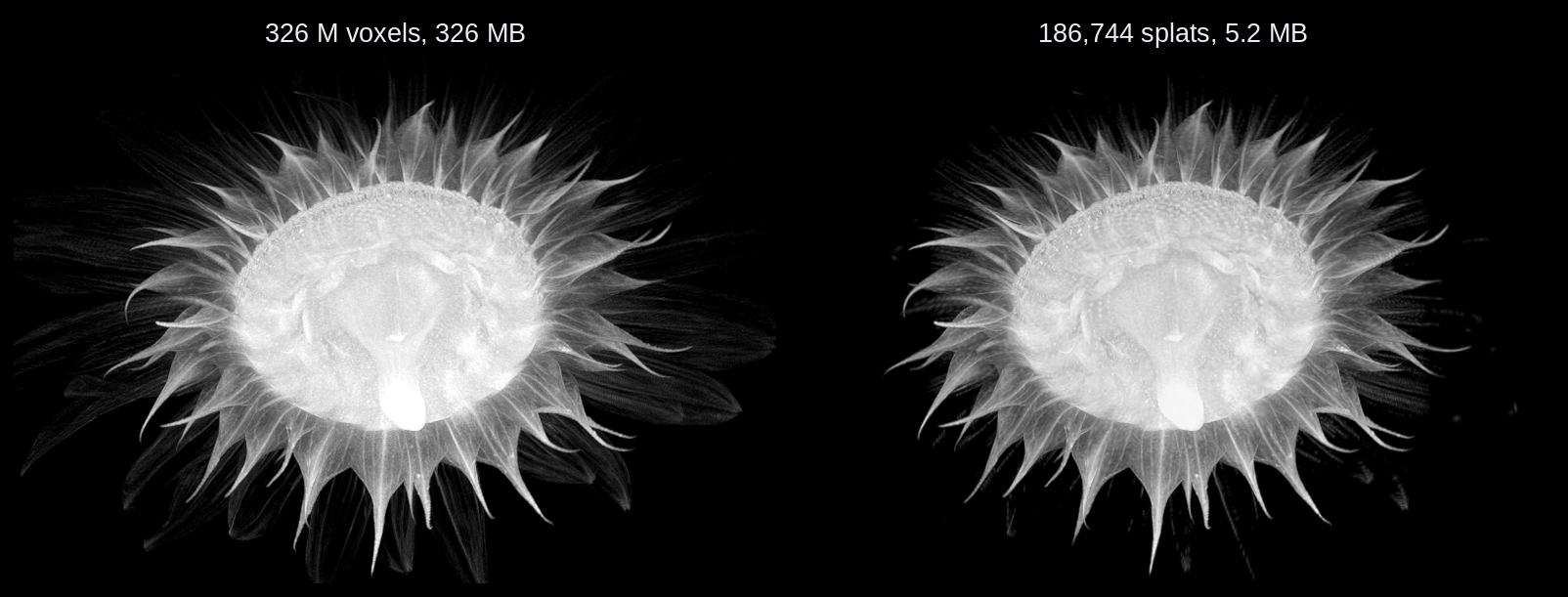 The micro-CT volume and its fitted Gaussian-splat representation.