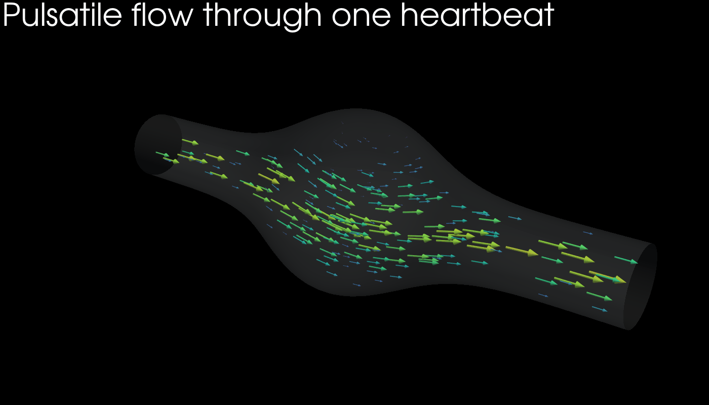 3D + time - pulsatile flow through one heartbeat