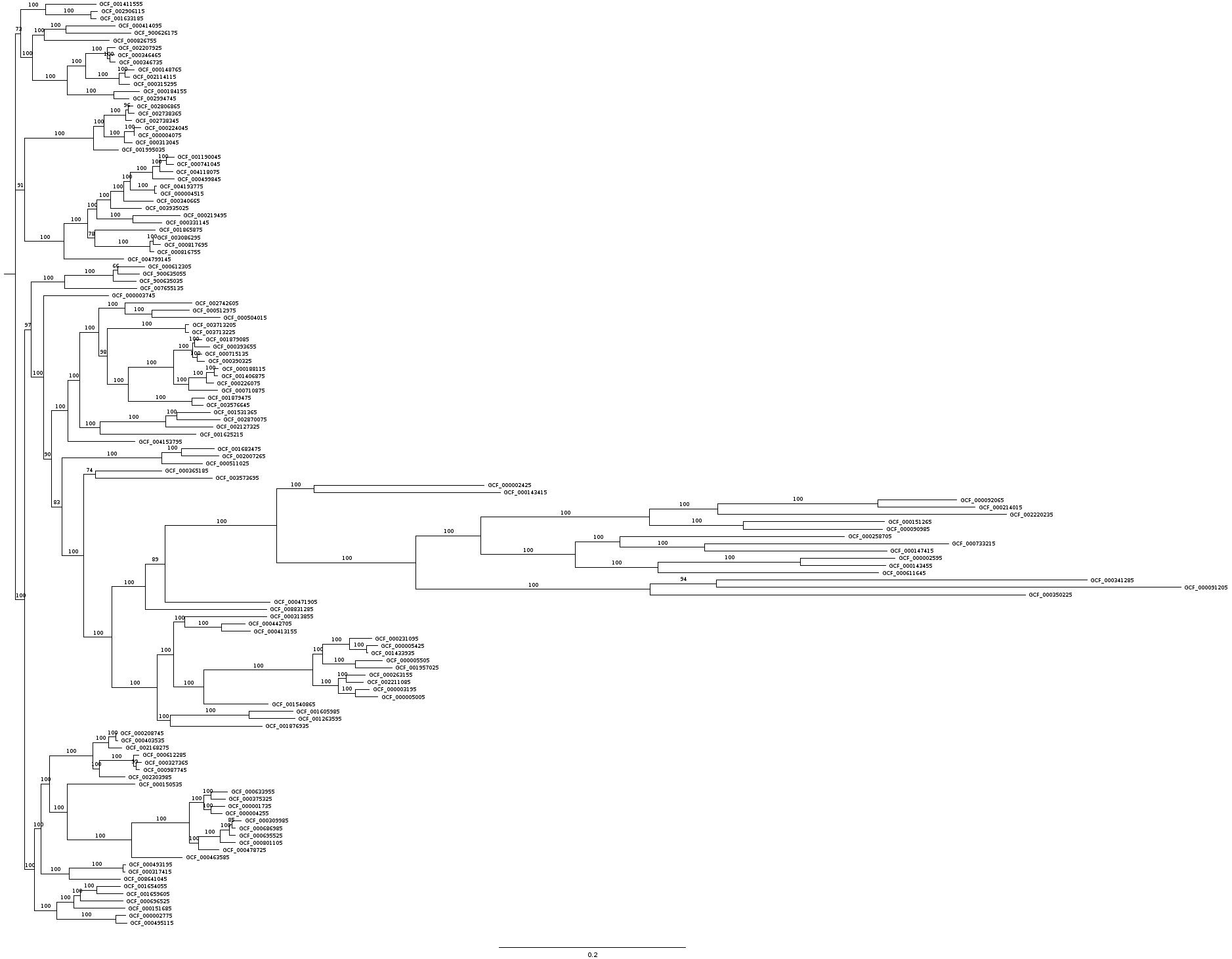 RAxML tree of 127 proteomes