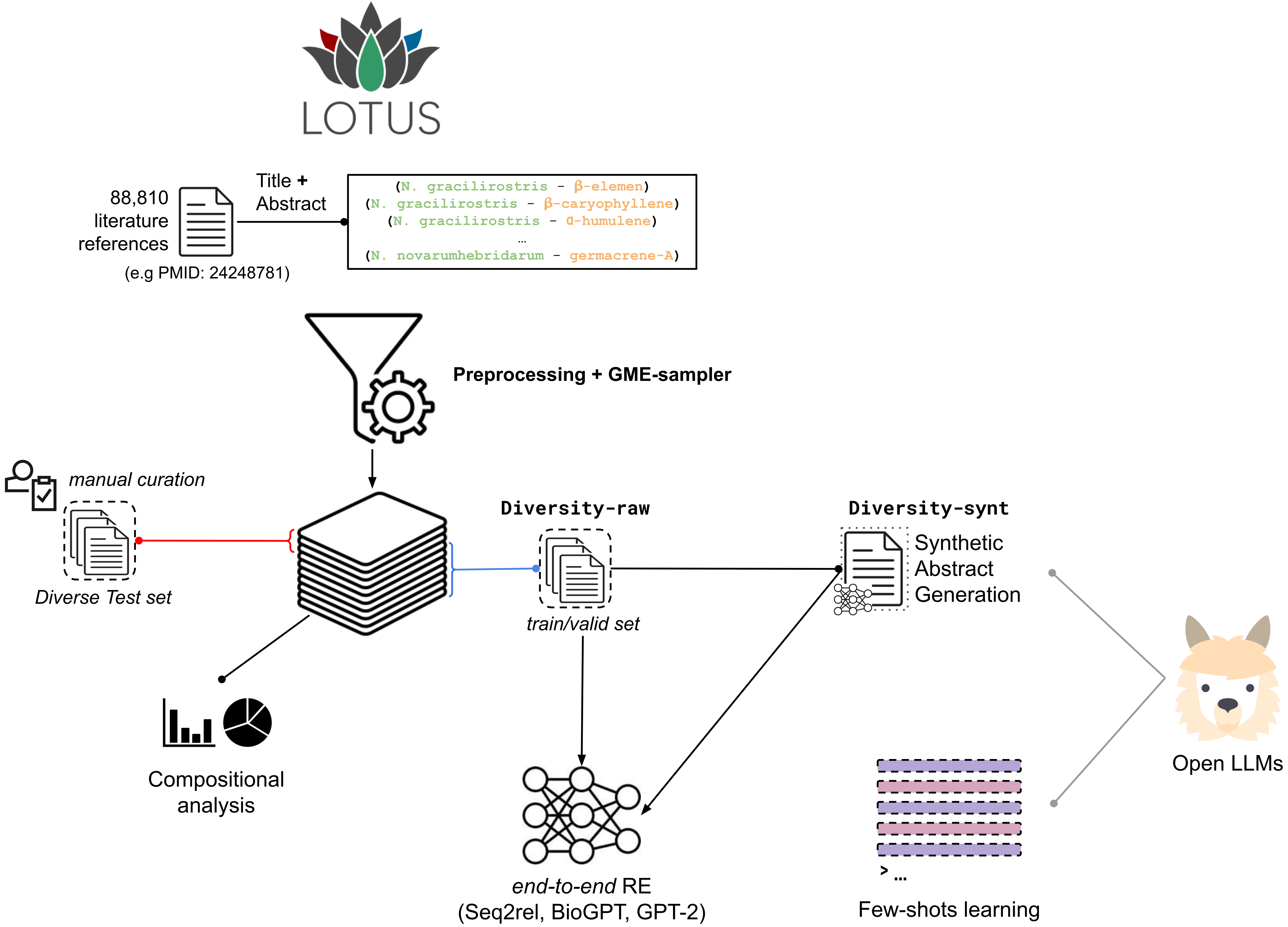 Summary of the workflow