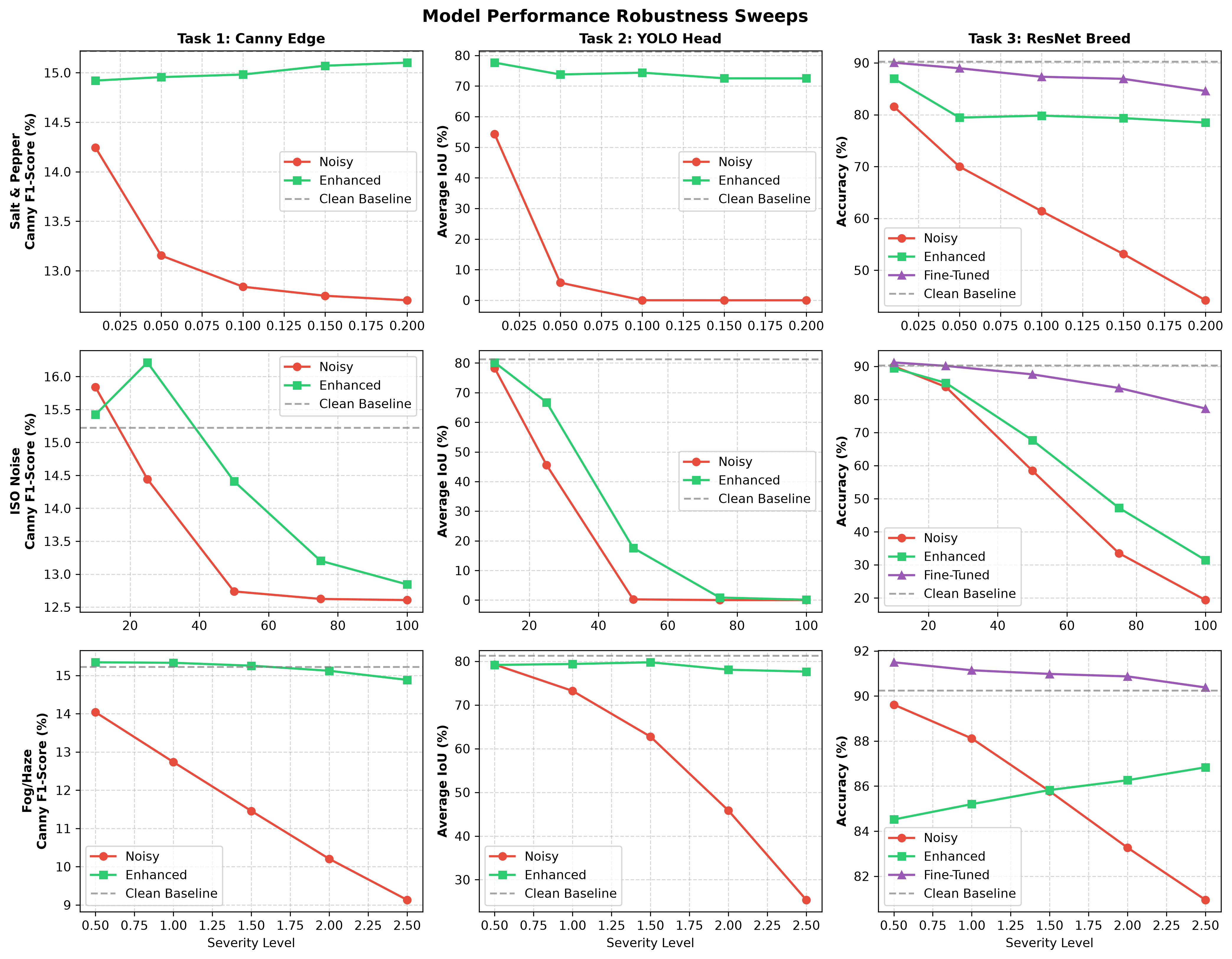 Robust Edge Detection, Head Detection & Breed Classification for Pet Images under Salt-and-Pepper Noise, ISO Noise & Fog