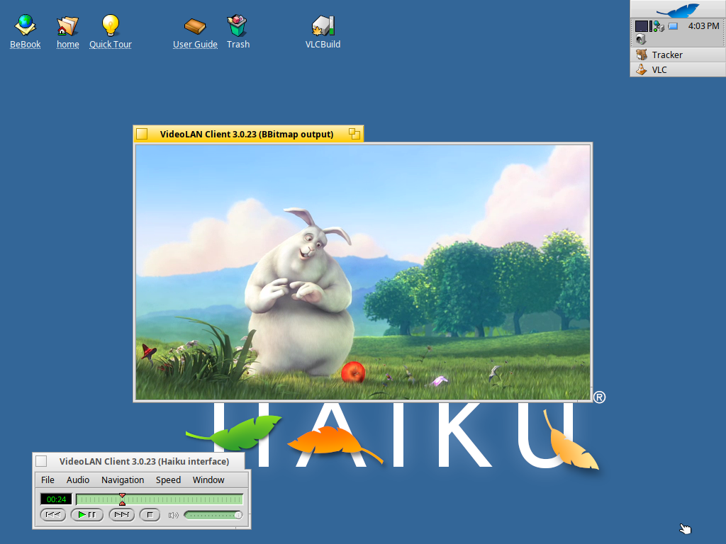 Schermata di VLC Reborn