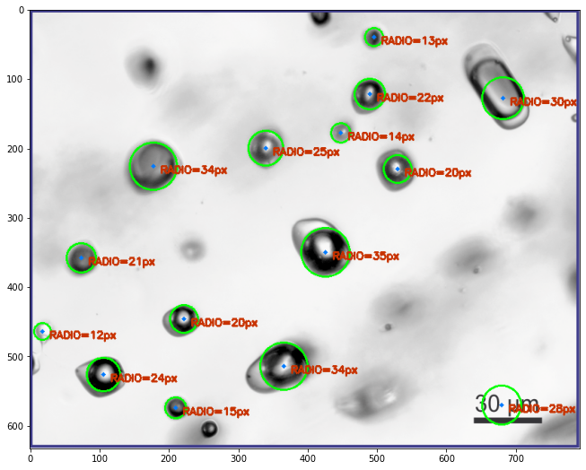 Result of the circle detection filter in quartz with inclusions