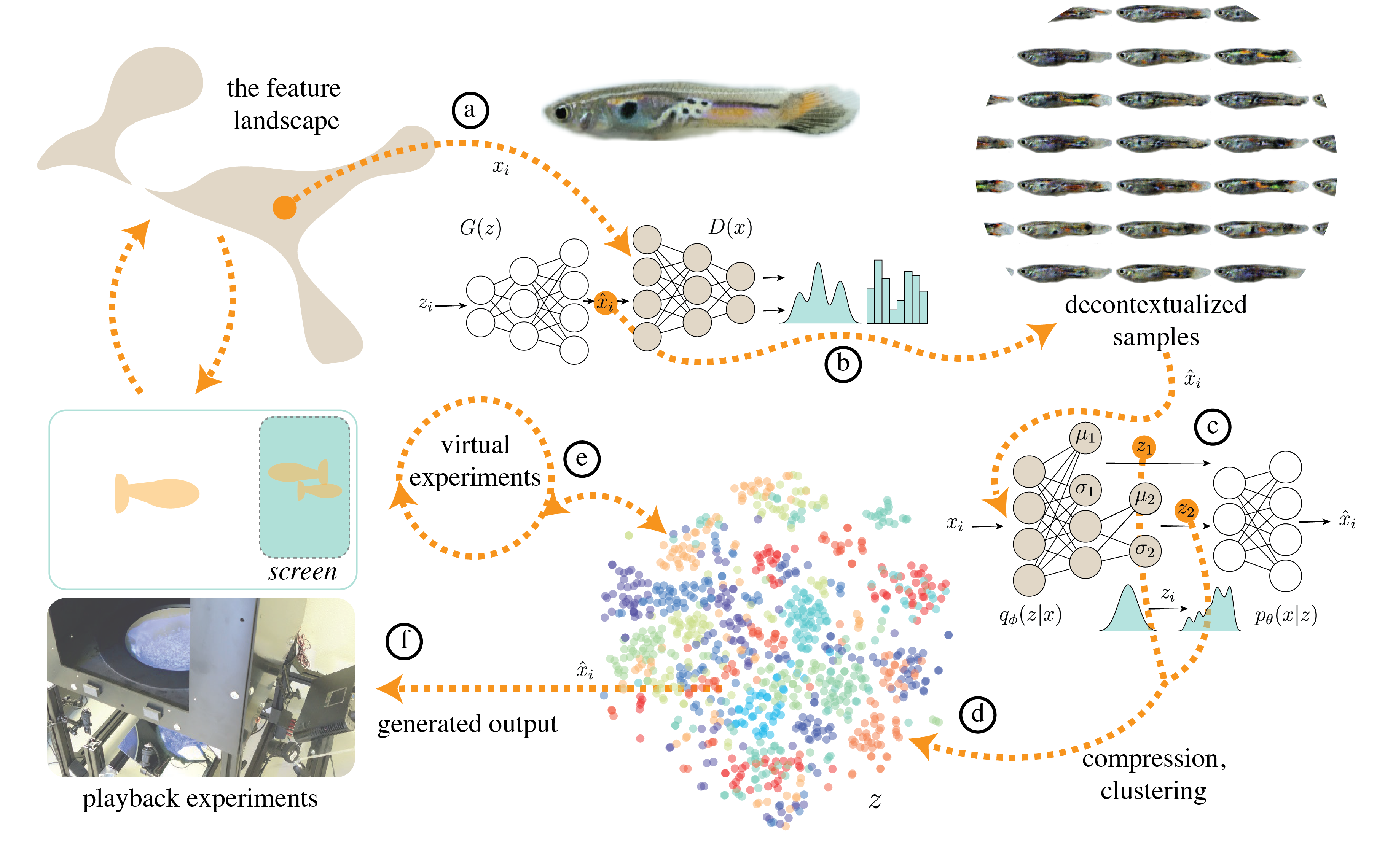 Decontextualized learning for interpretable hierarchical ...