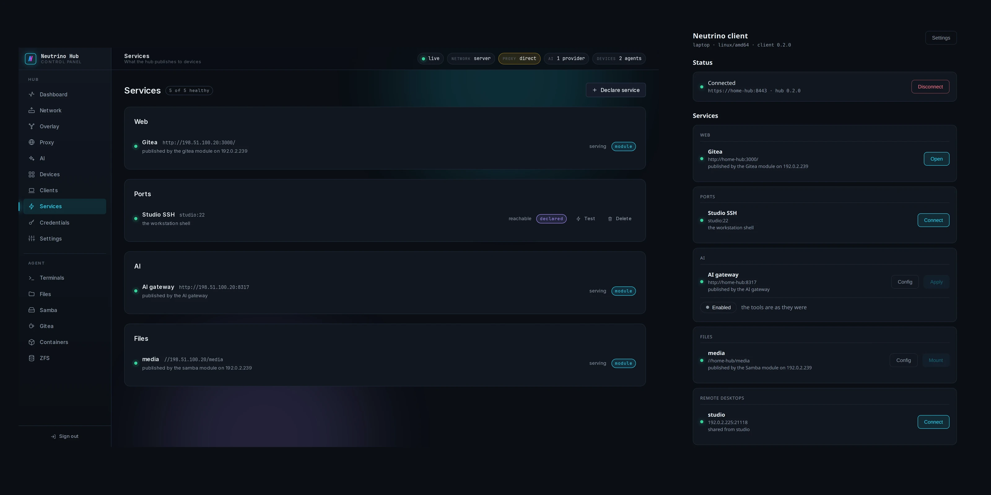 The Services page on the hub beside the client window, the same five entries on both