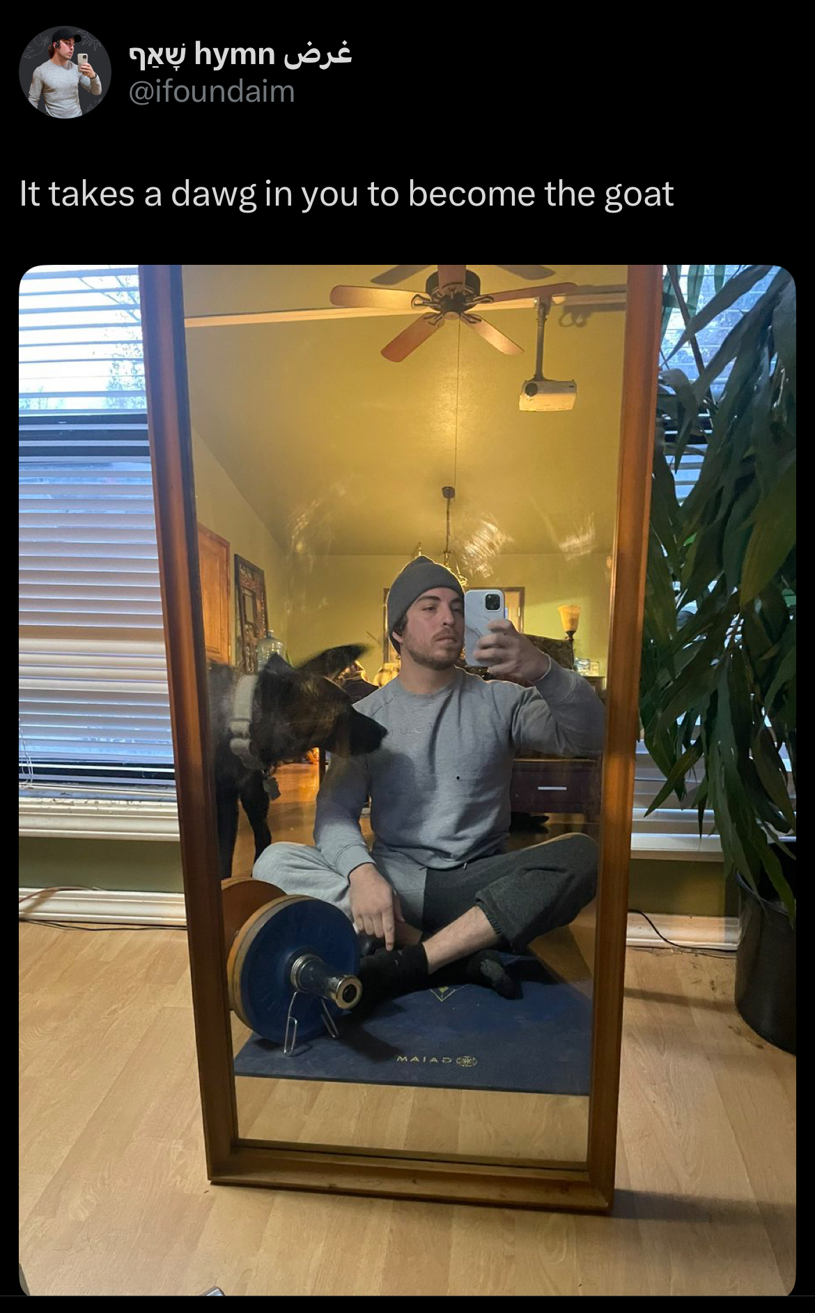 Support the founder on Throne