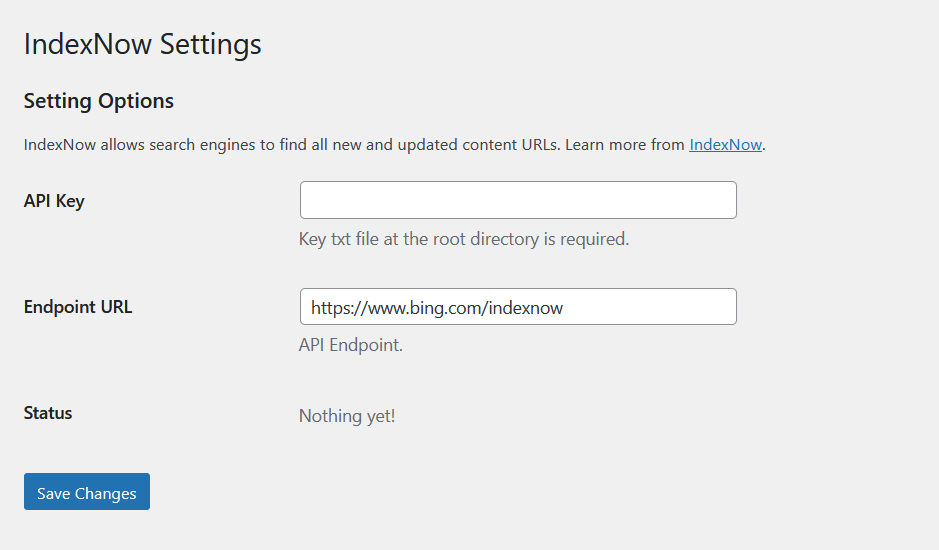 IndexNow Settings Page