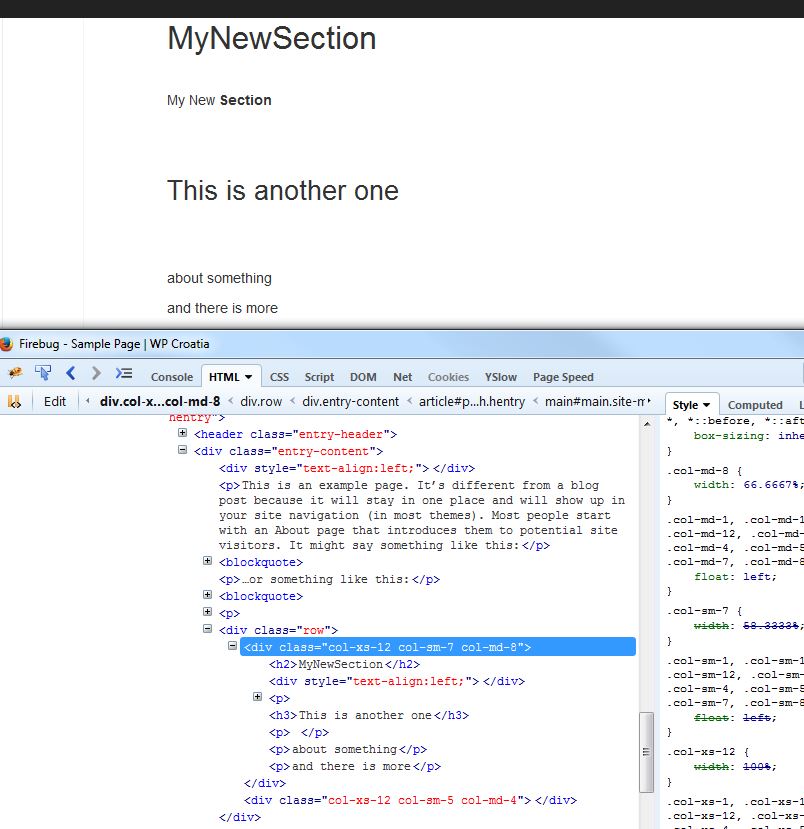 HTML is created and CSS is linked from CDN