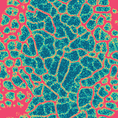Cell2