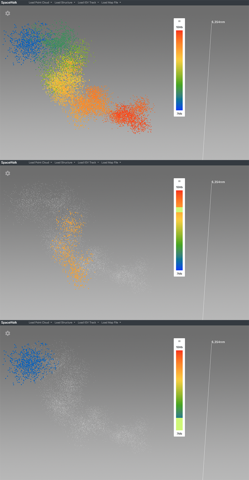 genomic navigator point cloud