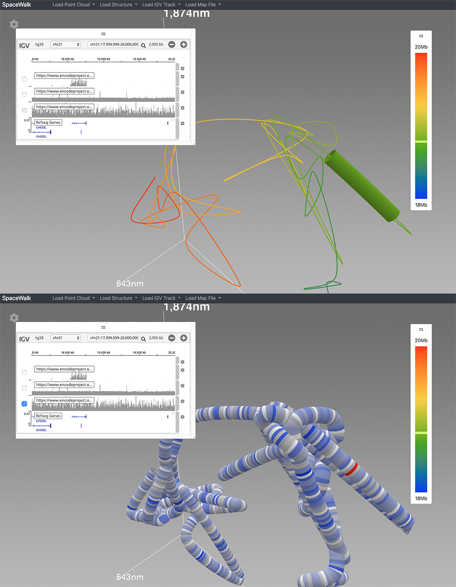 igv genomic navigator