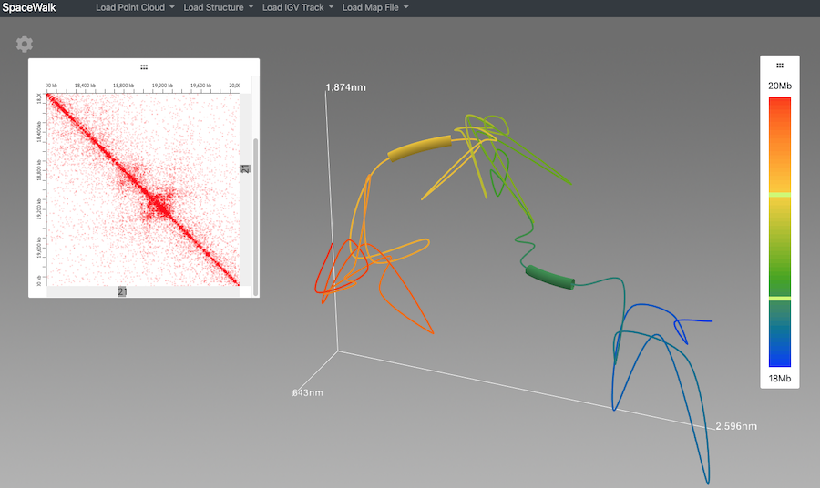 juicebox genomic navigator