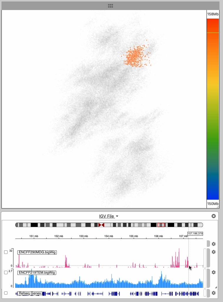 igv-interaction-3