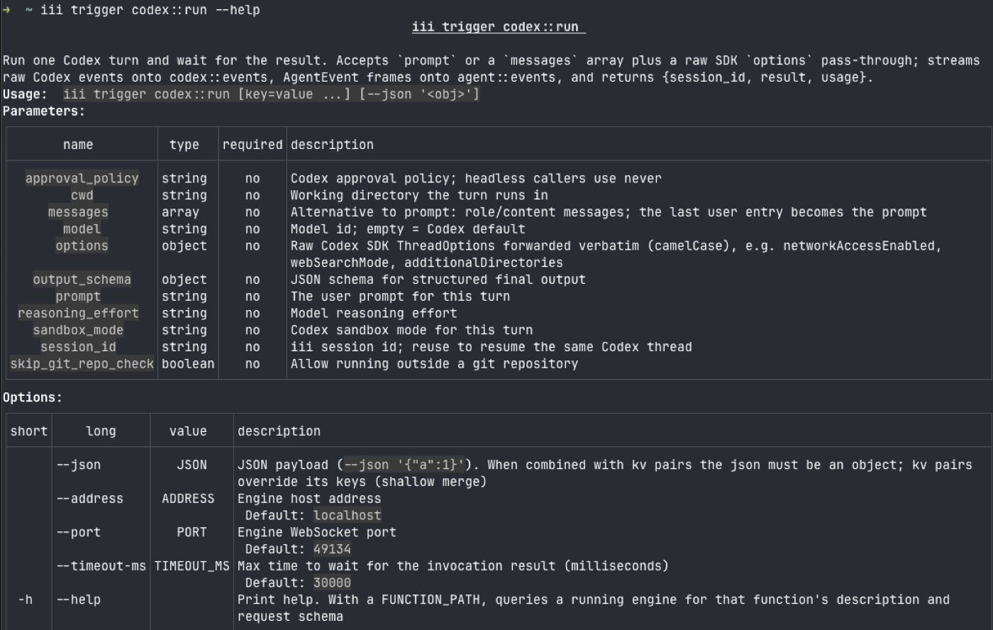 iii trigger codex::run --help printing the published request schema as a parameter table