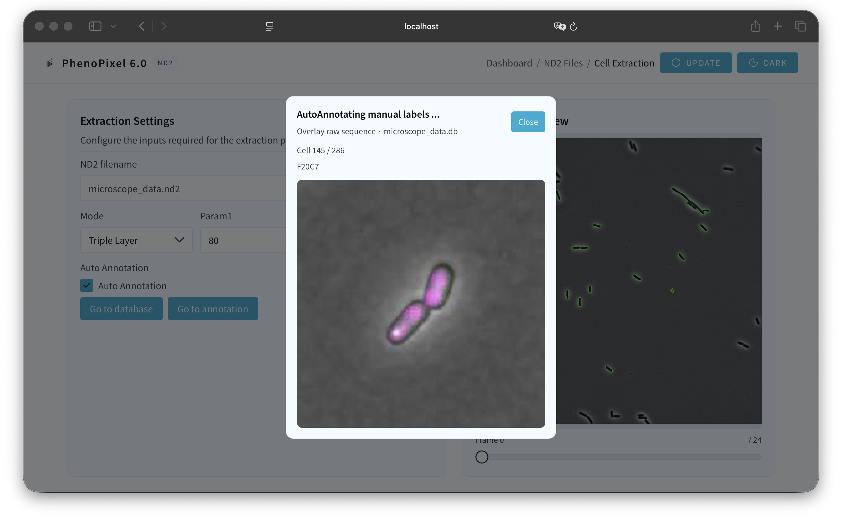 Auto annotation processing