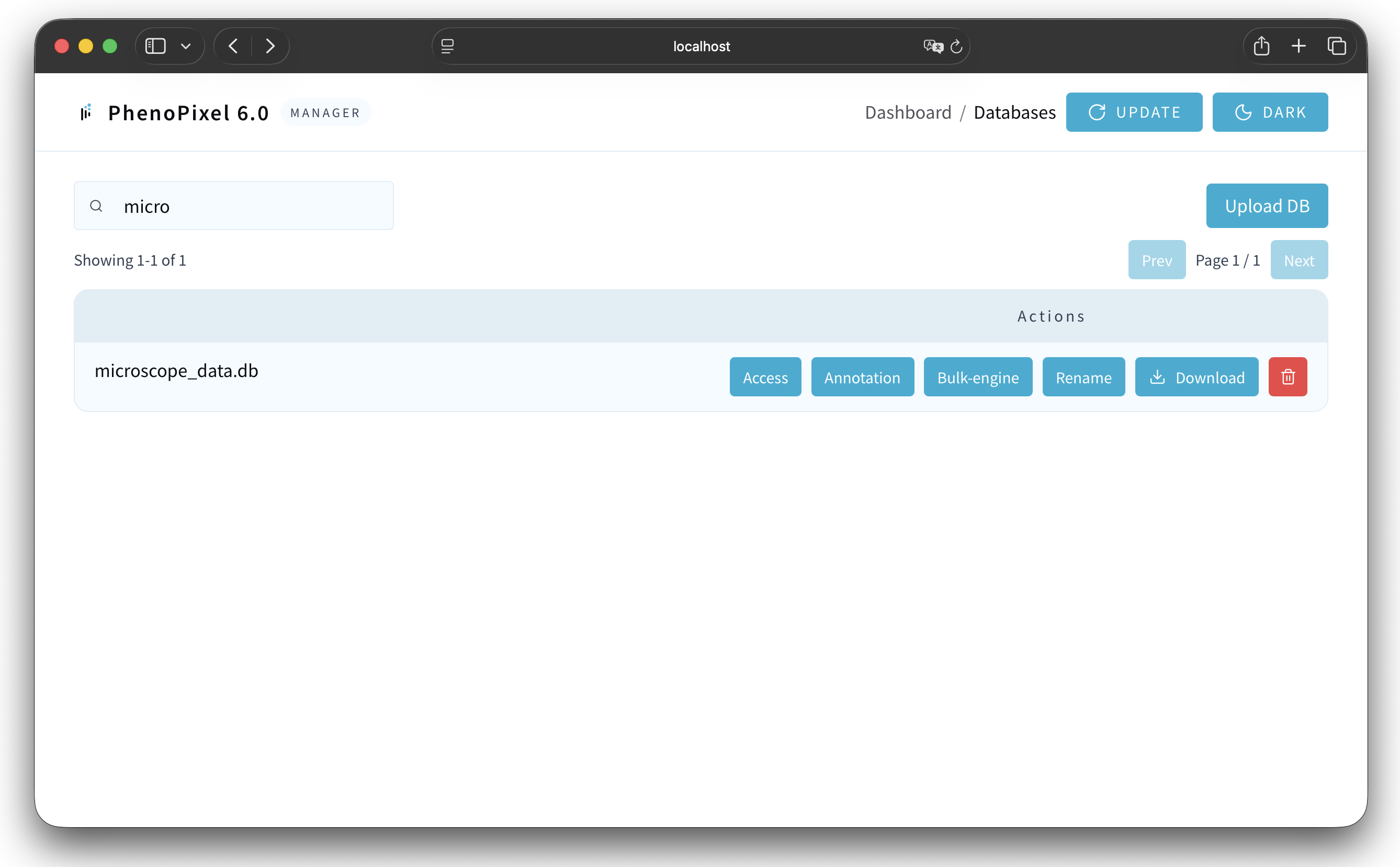Database manager