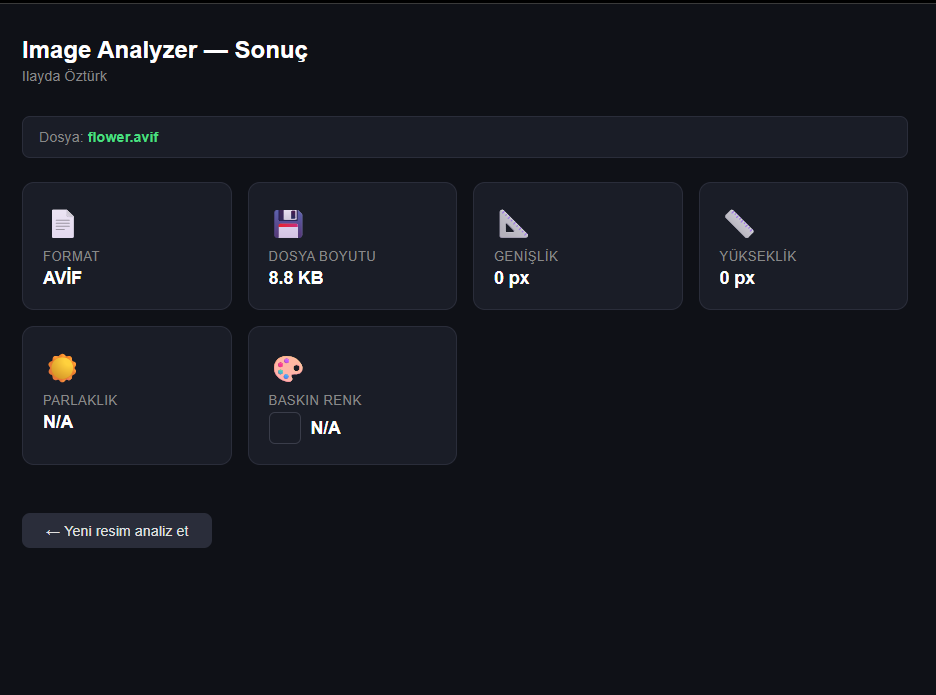 Image Analyzer — upload view