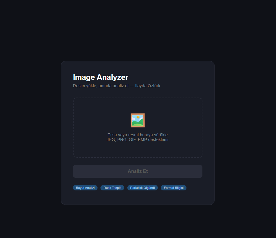 Image Analyzer — results view