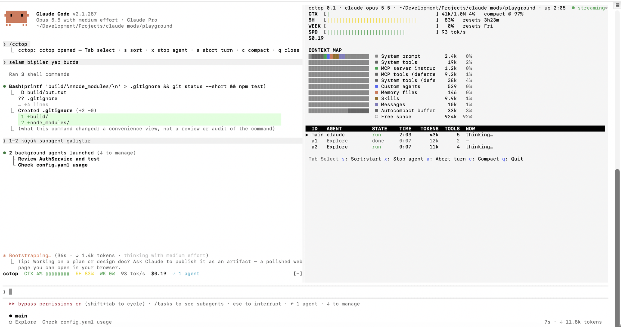 cctop docked beside a Claude Code session