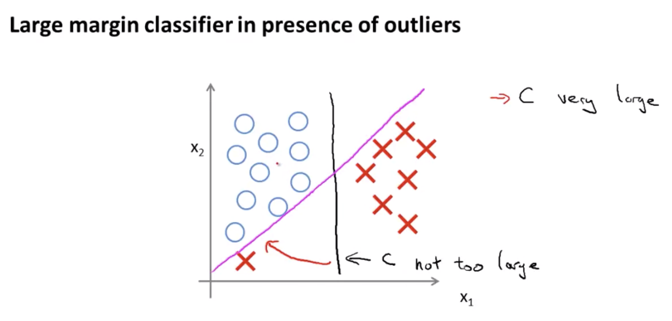 LMC Outlier