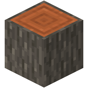 Acacia Log