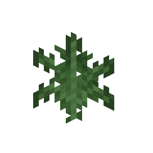 Fern