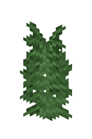 Large Fern