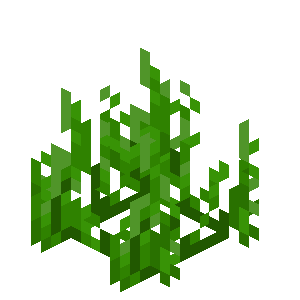 Seagrass