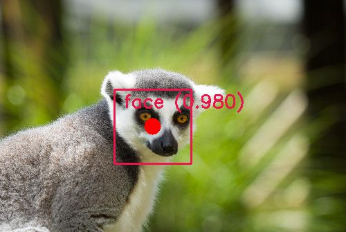 example of face detector on a lemur