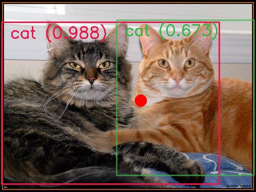 example of object detector on two cats