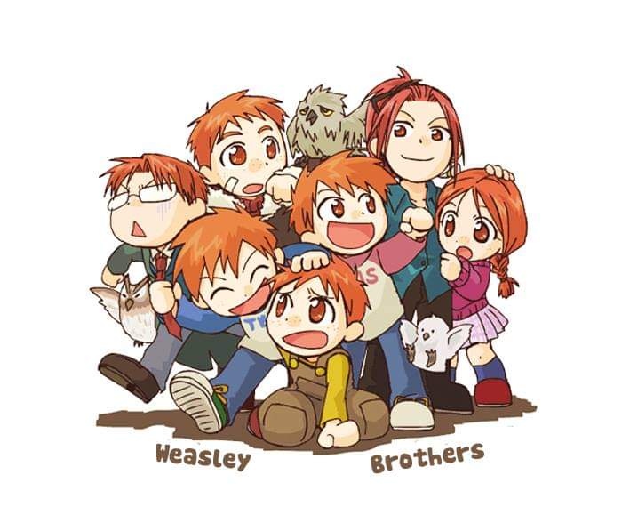 Anh em nhà Weasley