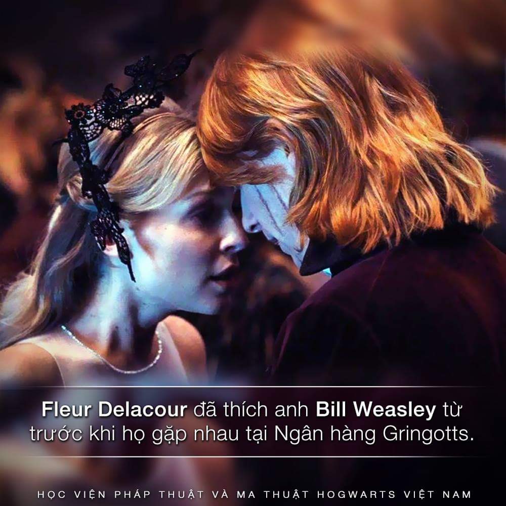 Chi tiết nhỏ nhặt về Fleur Delacour và Bill Weasley
