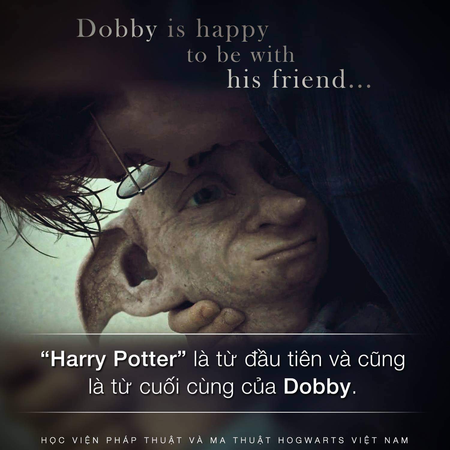 Dobby nhắm mắt vào một ngày tháng Ba