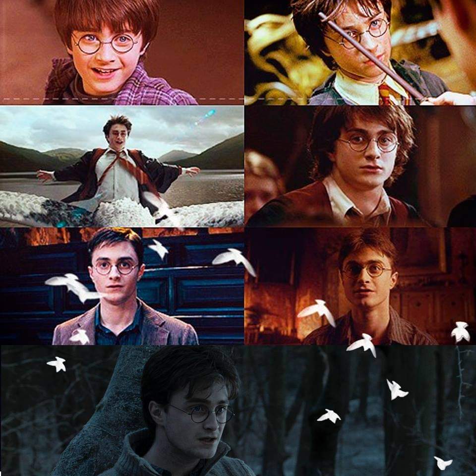 Happy Birthday, Harry Potter