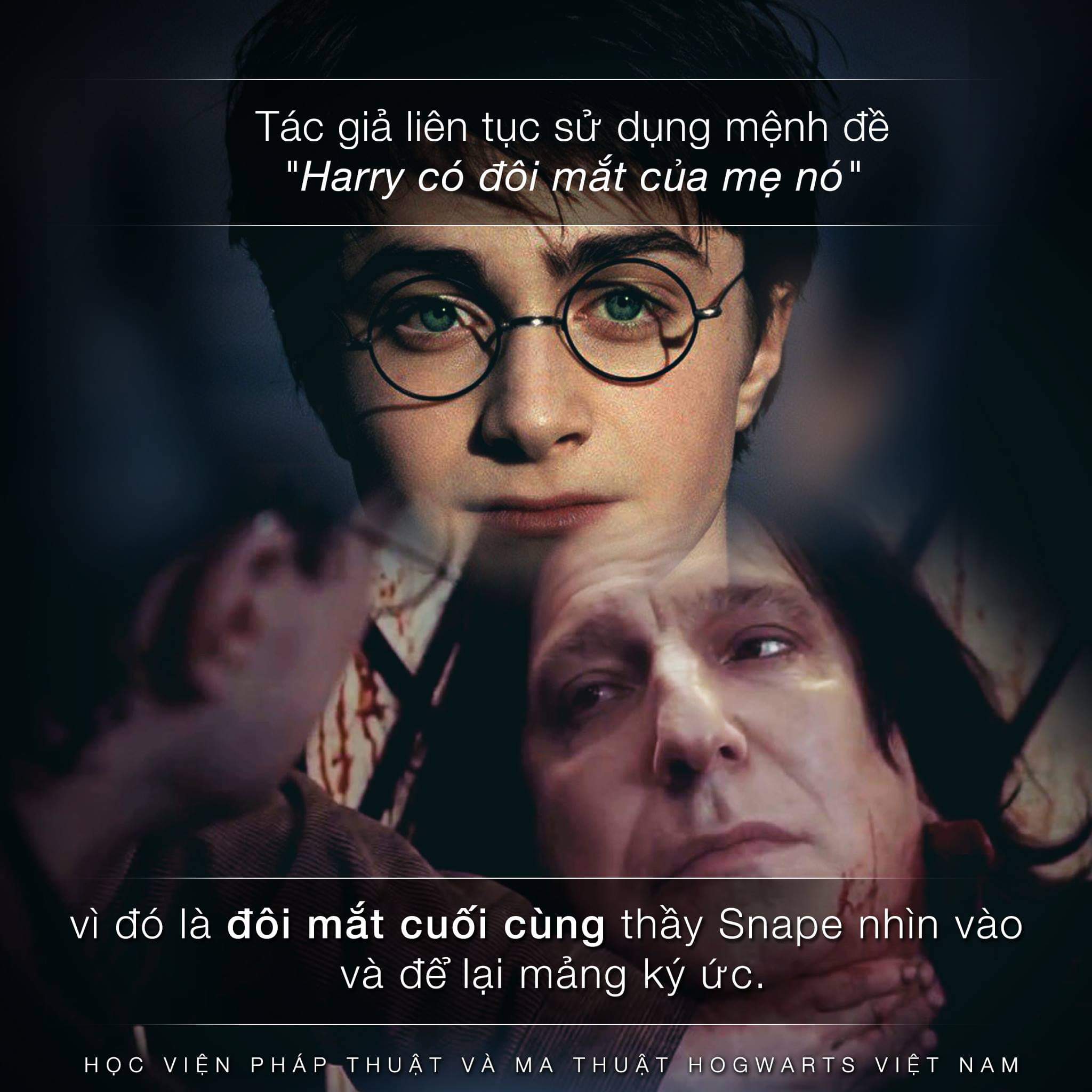 Harry có đôi mắt của mẹ và hàm ý trong đó