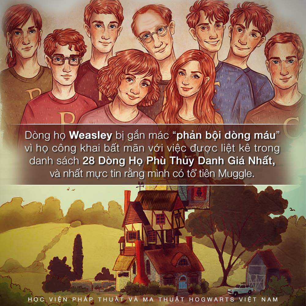 Tại sao gia tộc Weasley lại bị gọi là những kẻ phản bội huyết thống?