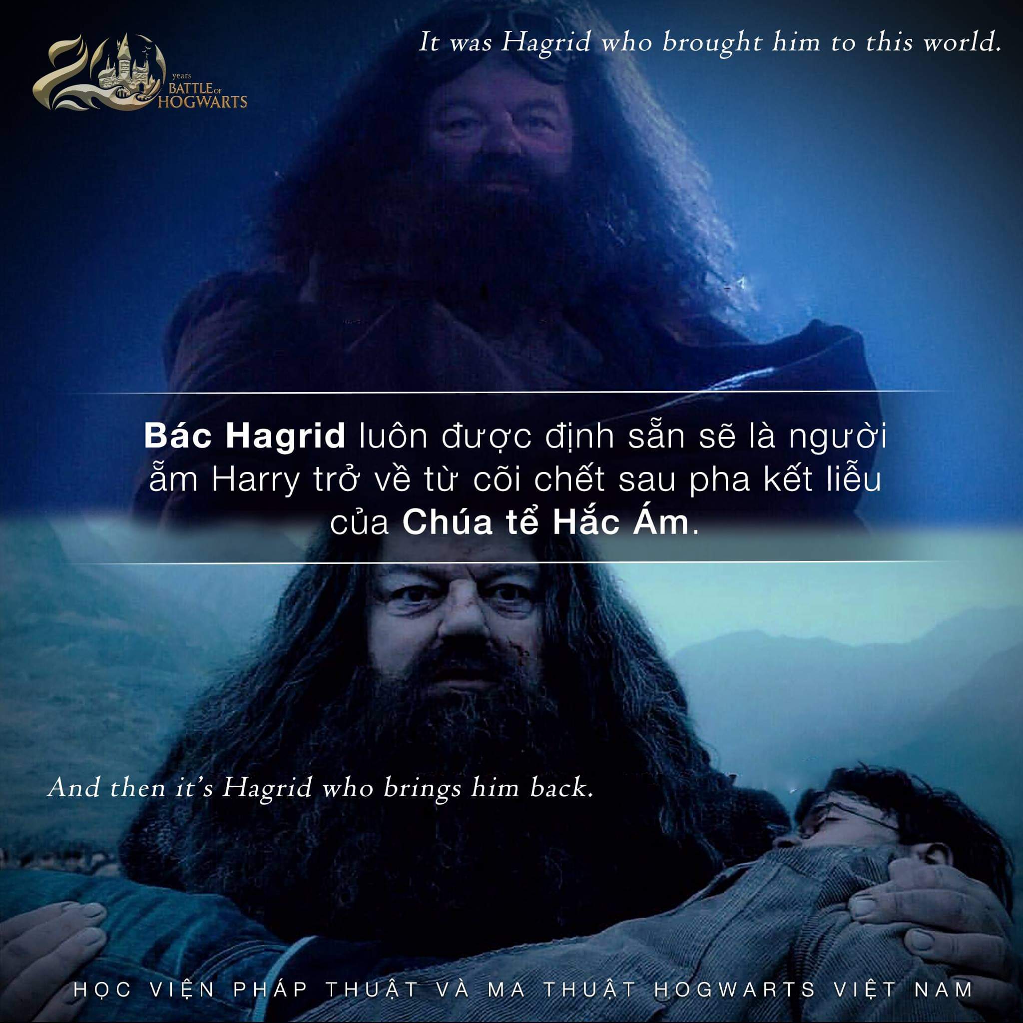 Vai trò không thể thay thế của bác Hagrid trong trận chiến Hogwarts