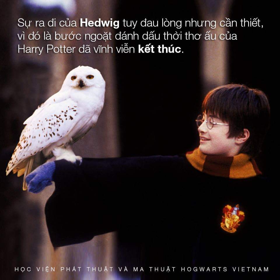 Ý nghĩa của Hedwig đối với Harry Potter