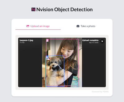 Nipa Nvision Object Detection