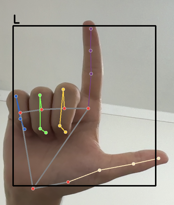 Gesture-Detection Results