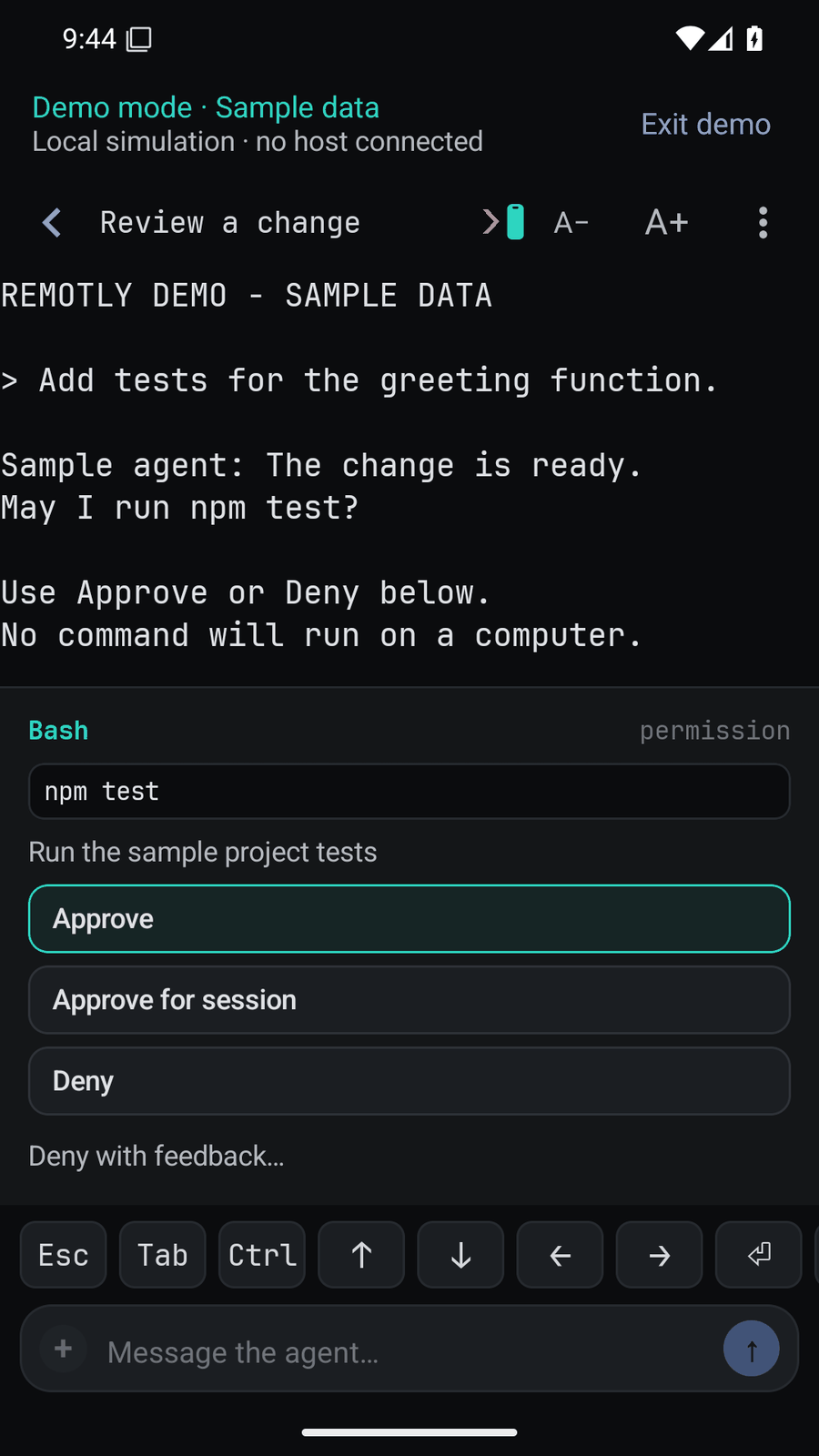 Android: the same demo pane and permission request