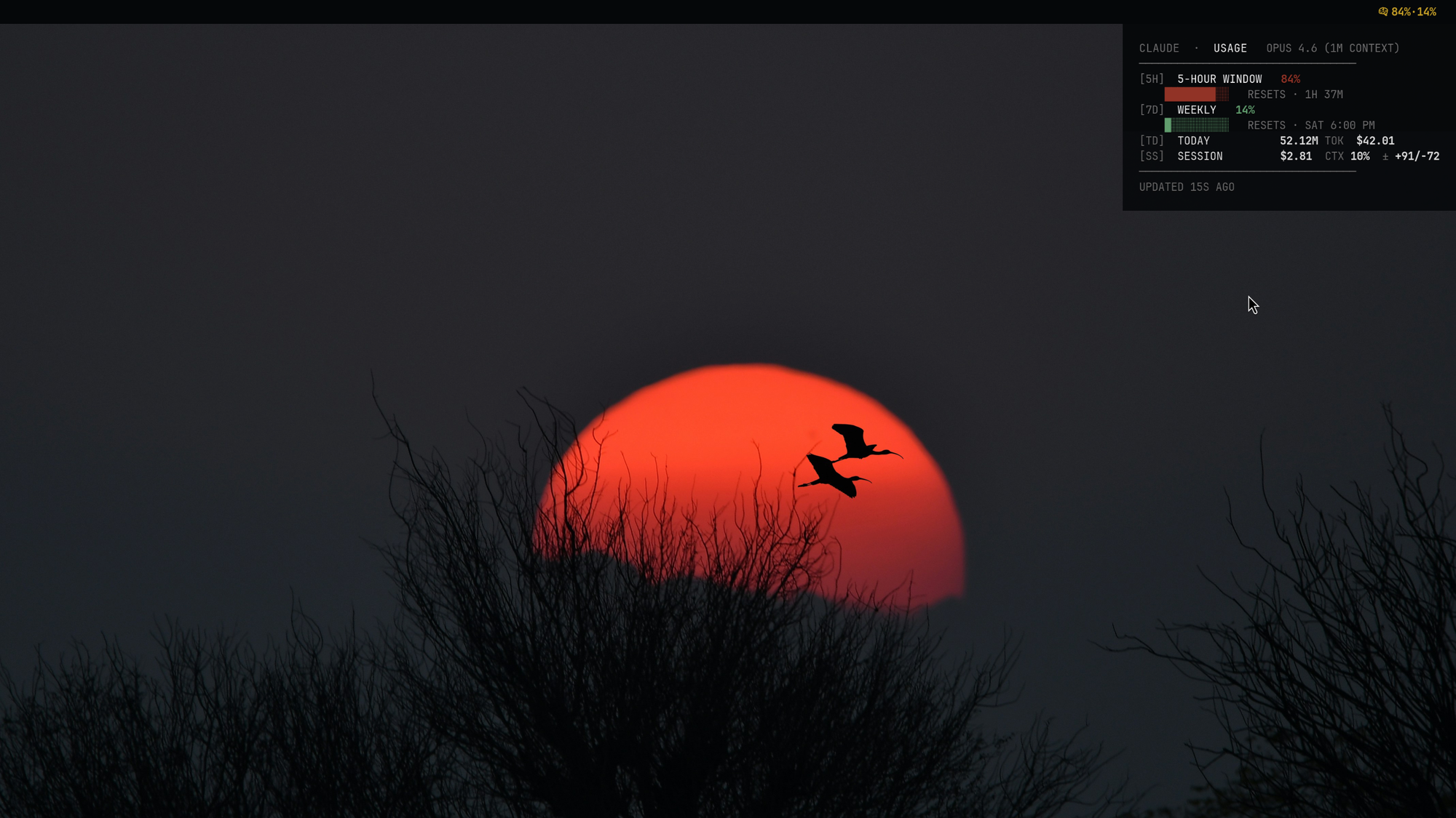 Waybar hover tooltip with compact usage panel