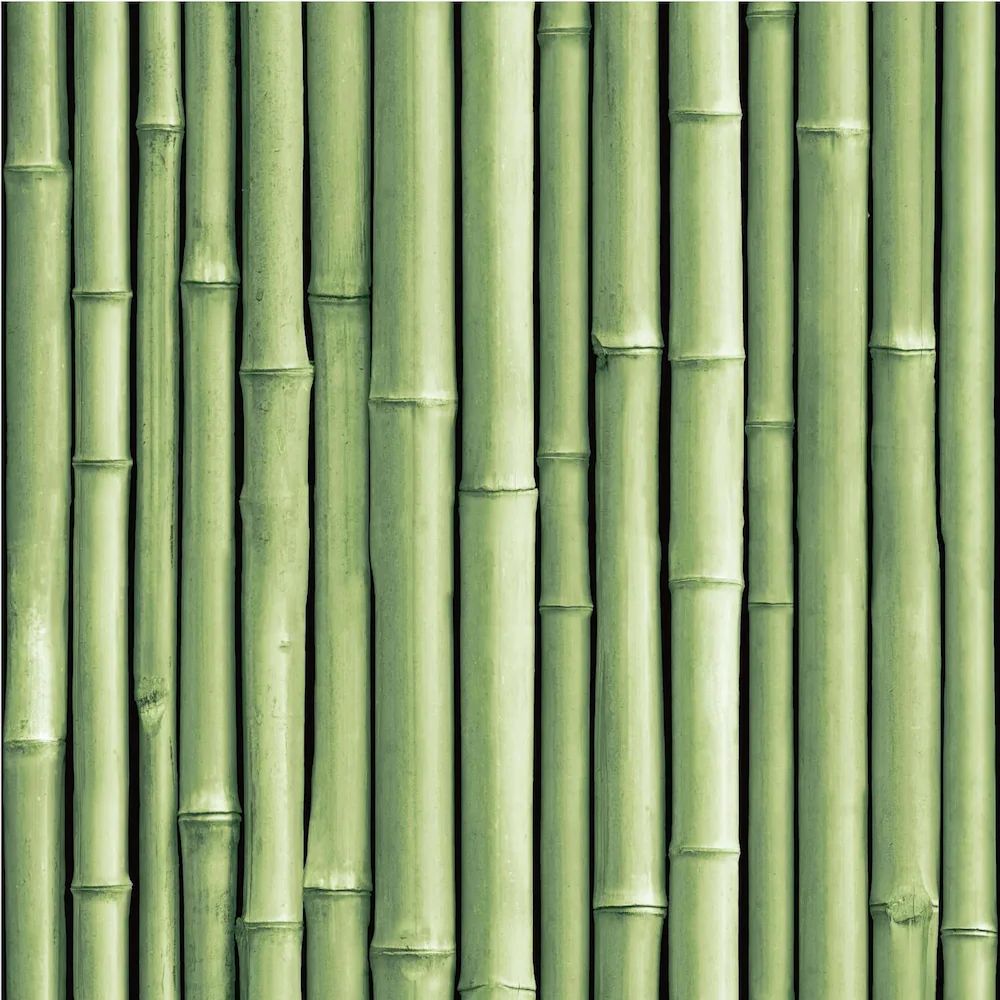 Roommates bamboo