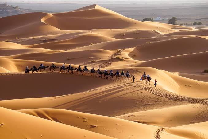 Attività nel deserto di Merzouga
