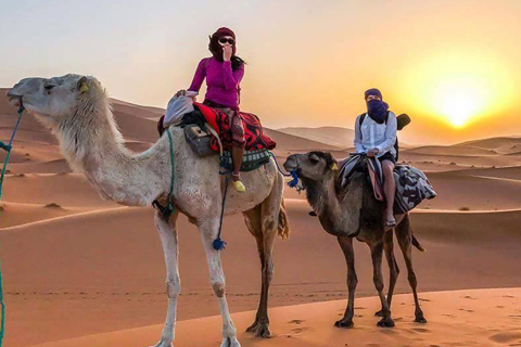 Escursione in cammello al tramonto nel deserto