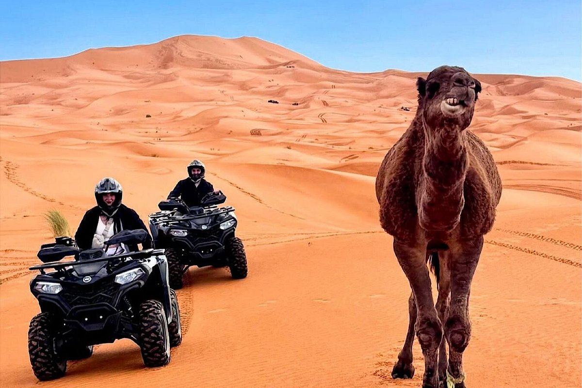 Quad tra le dune con un dromedario a Merzouga